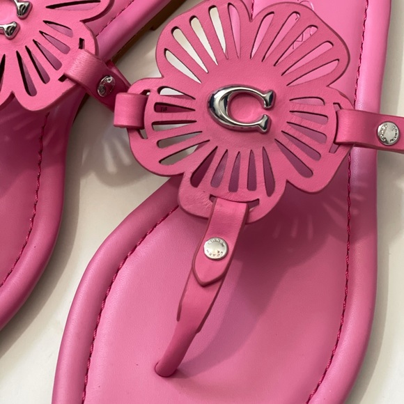 Coach Julia Sandal - Picture 4 of 16
